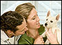 Dogs And Dating